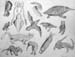 Sketches_2