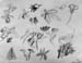 Sketches_3