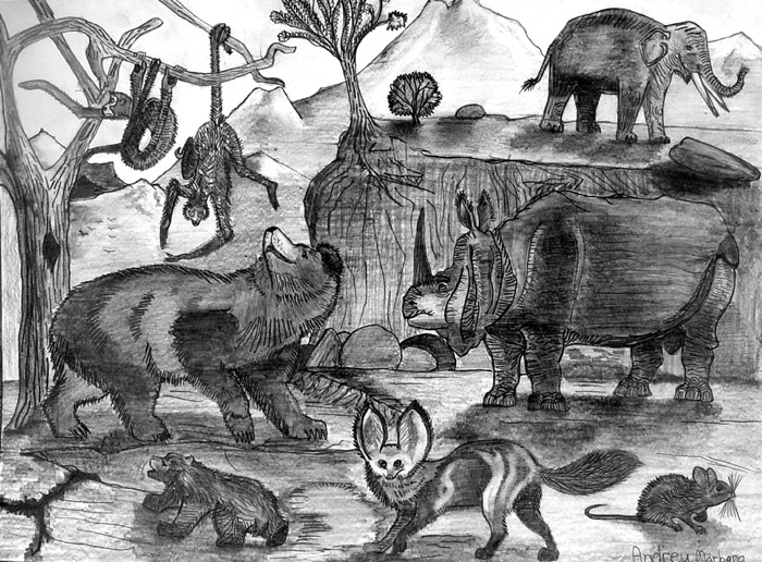 Animals_2