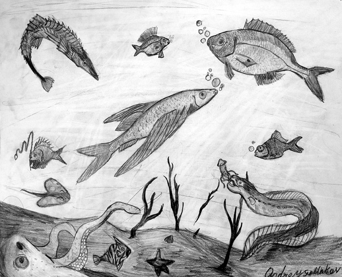 Underwater