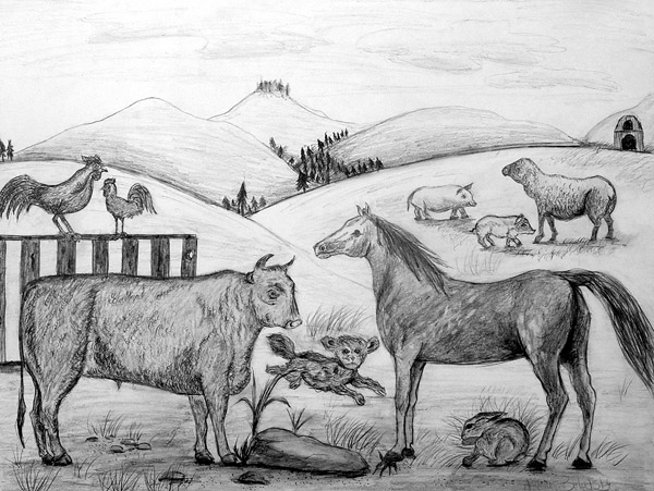 Farm