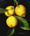 Still-life_1_(study)