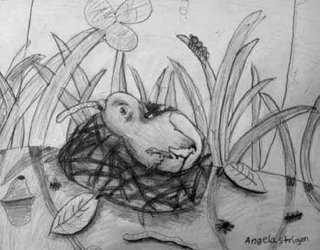 Nest