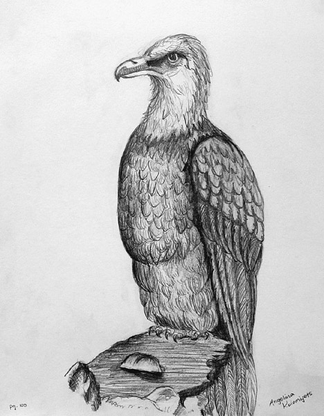 Eagle