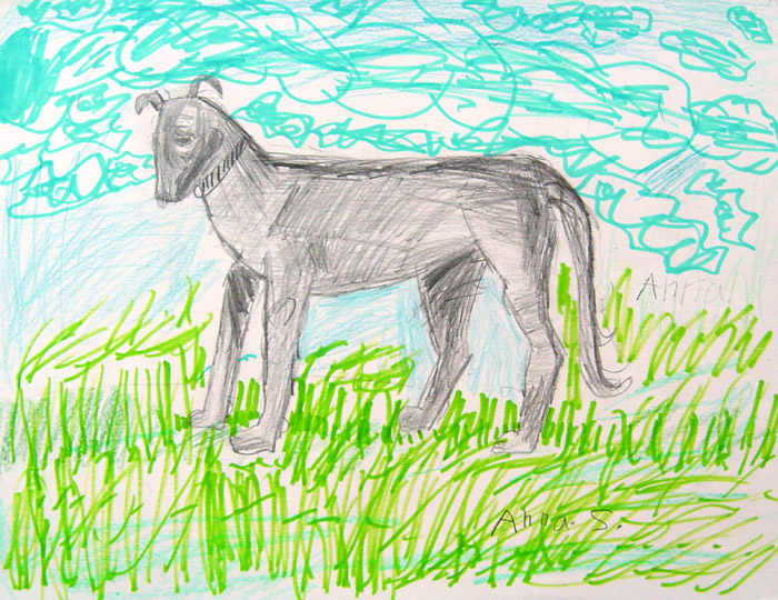 Dog
