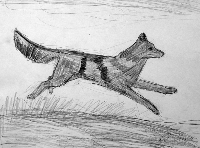 Dog_2