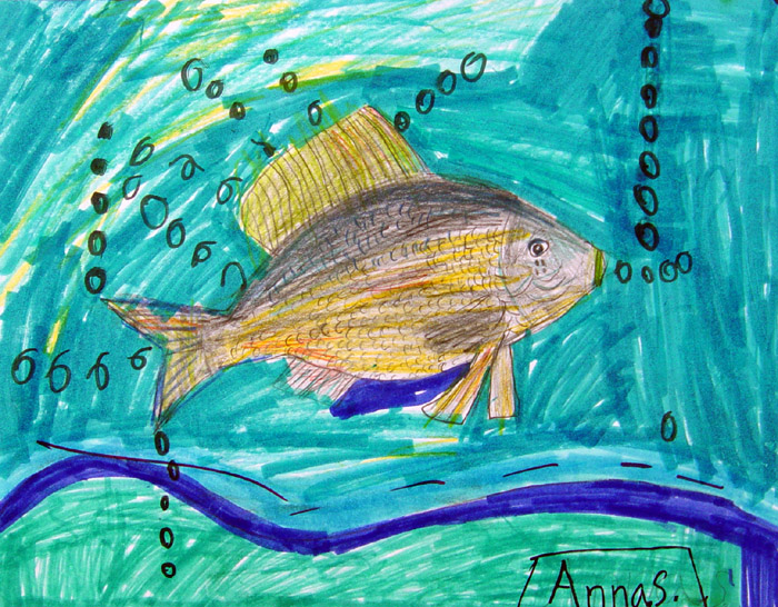 Fish