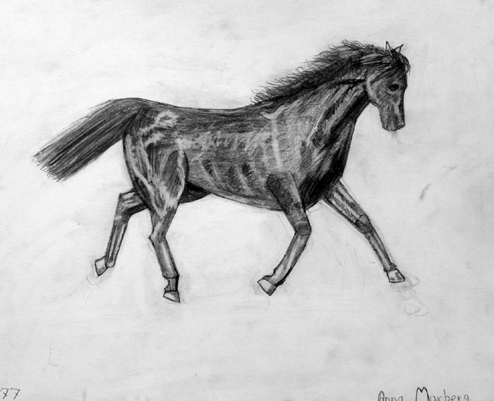 Horse_2