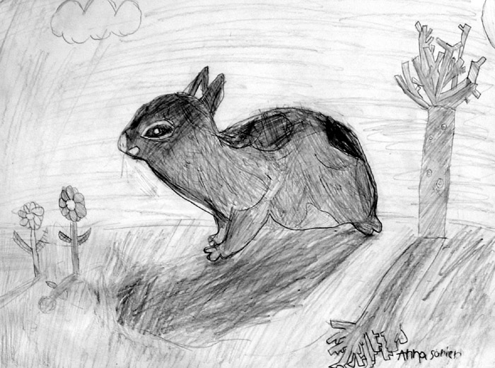 Rabbit