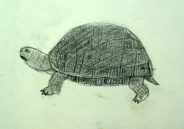 Turtle