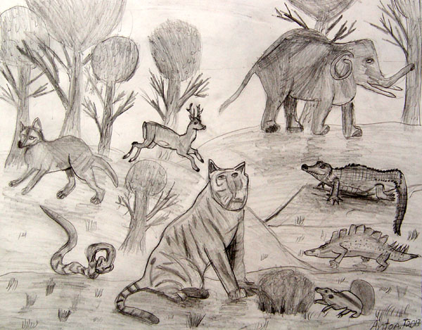 Animals