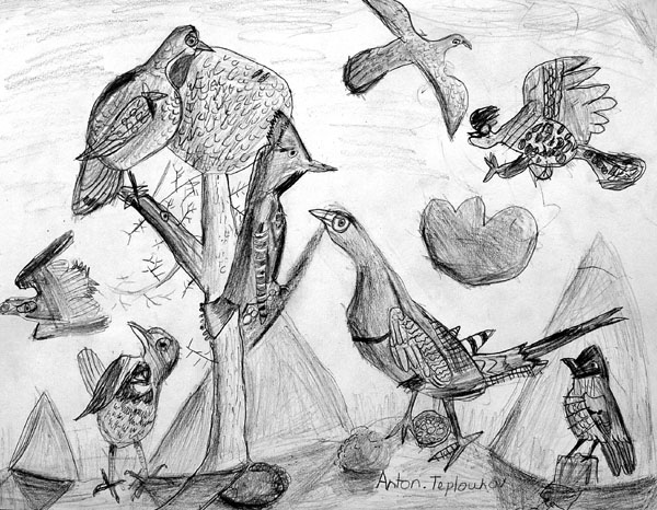 Birds