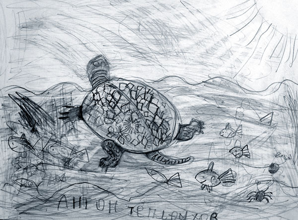 Turtle