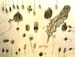 Sketches_1