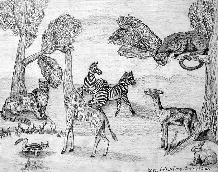 Animals