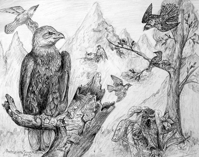 Birds