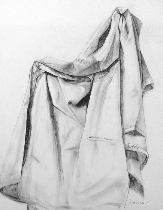 Folds