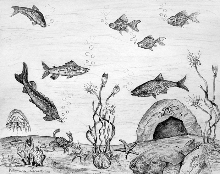 Underwater _2