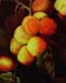 Still-life_1_(study)