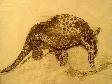 Animal