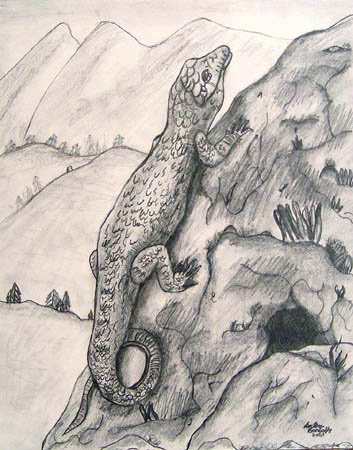 Lizard