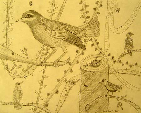 Birds