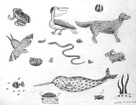 Sketches_1