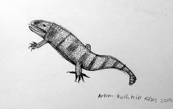 Animal_3