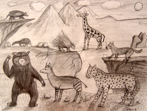 Animals