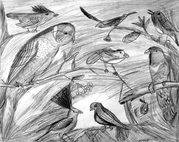 Birds