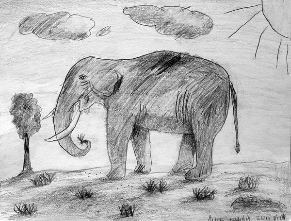 Elephant