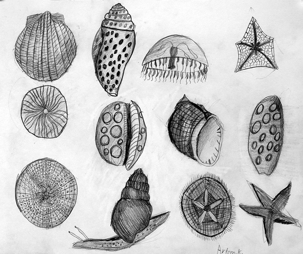 Shells