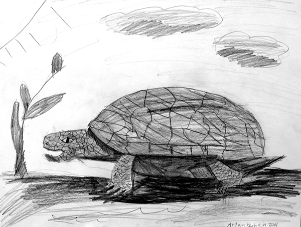 Turtle