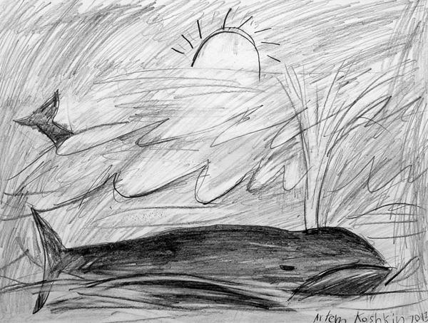 Whale