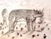Rhinoceros