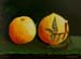 Still-life_1_(study)