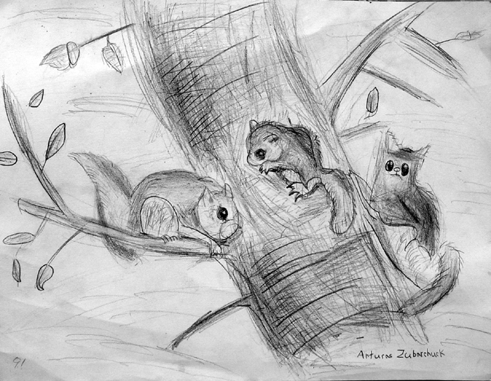 Squirrels