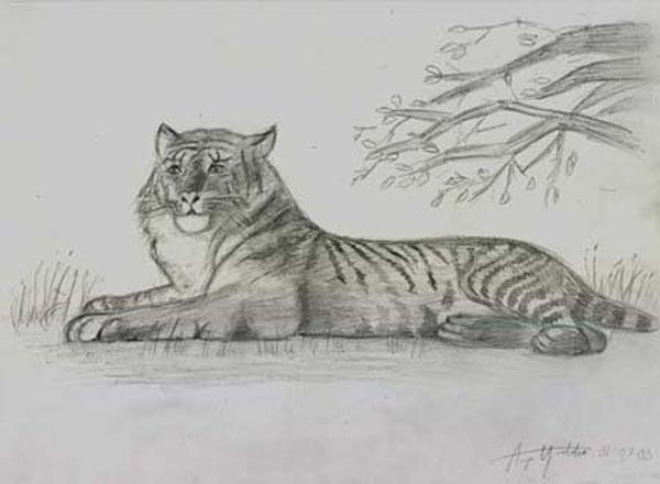 Tiger