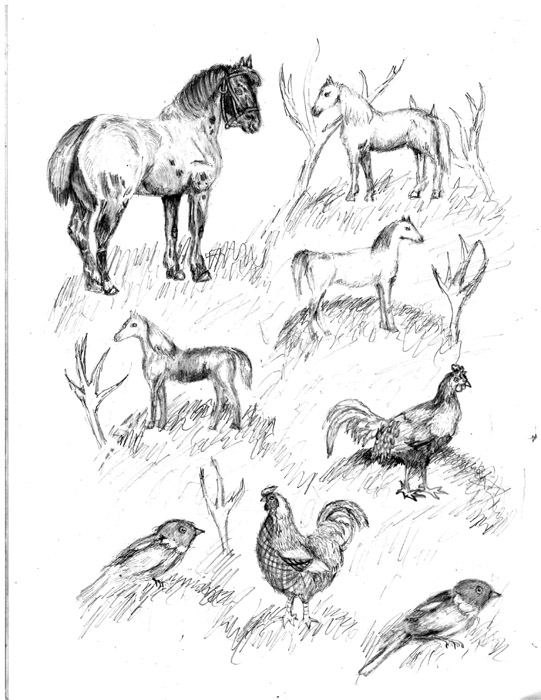 Animals_3
