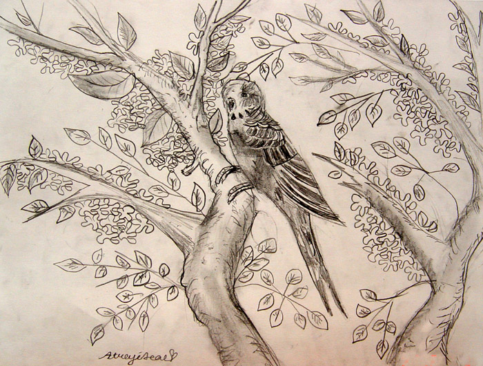 Bird