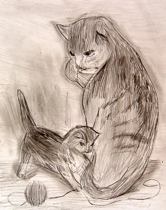 Cats