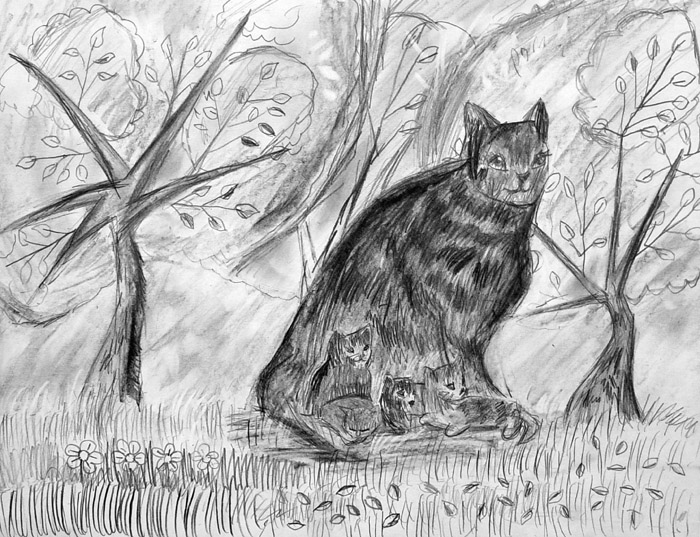 Cats_2