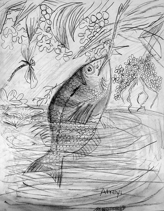 Fish