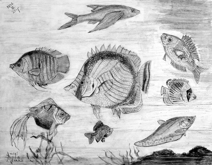 Fish_2
