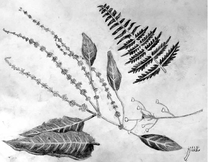 Sketches_2