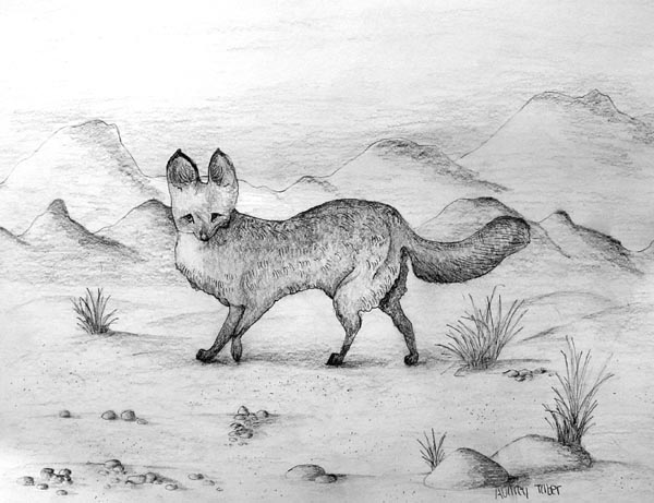 Fox