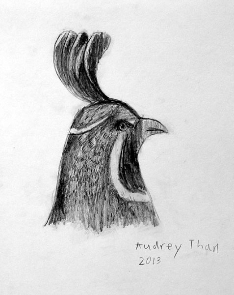 Bird