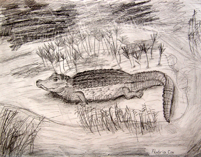 Alegator
