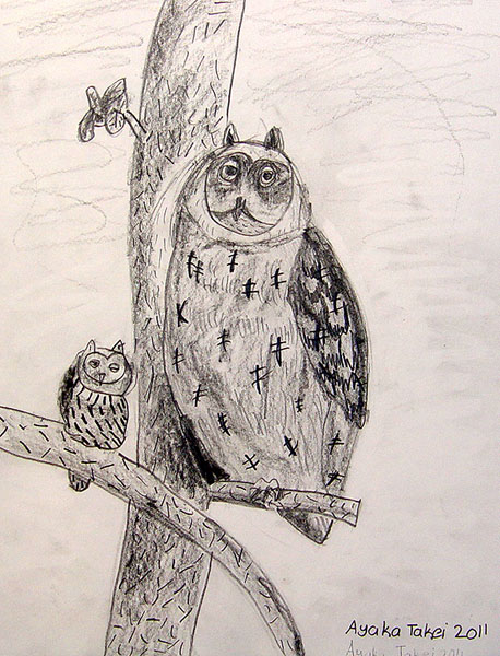 Owl