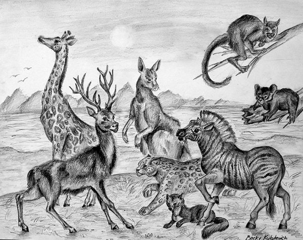 Animals